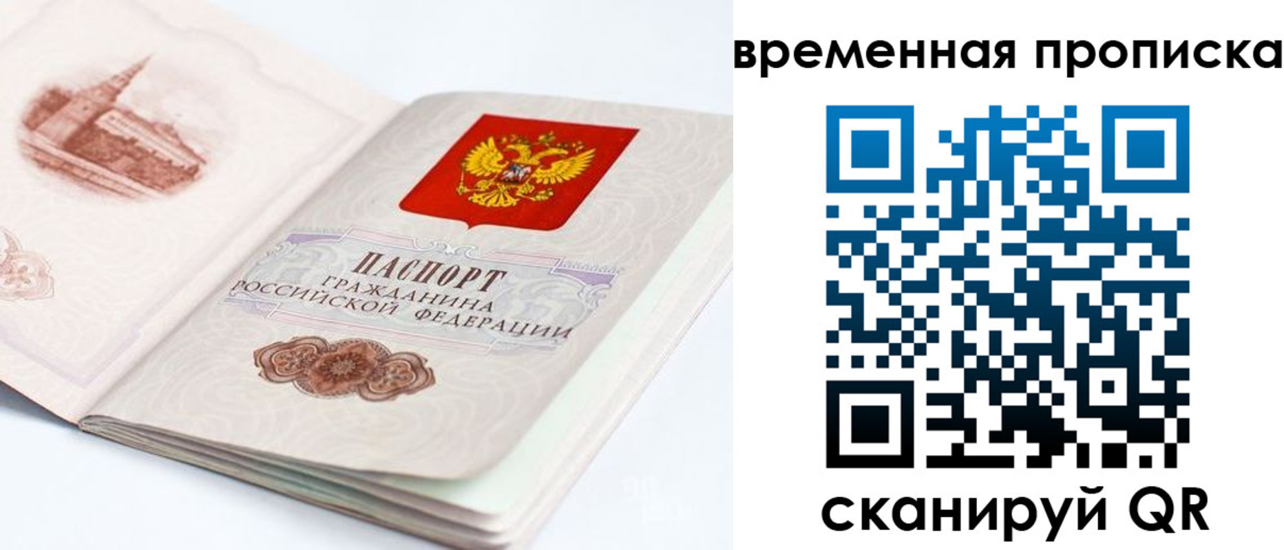 регистрация в Алексине